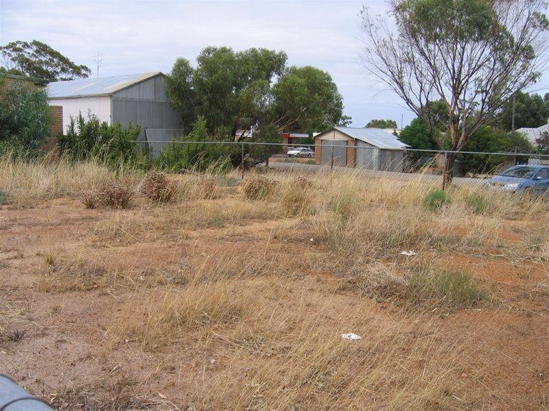 26 Elphin Crescent, Wongan Hills WA 6603