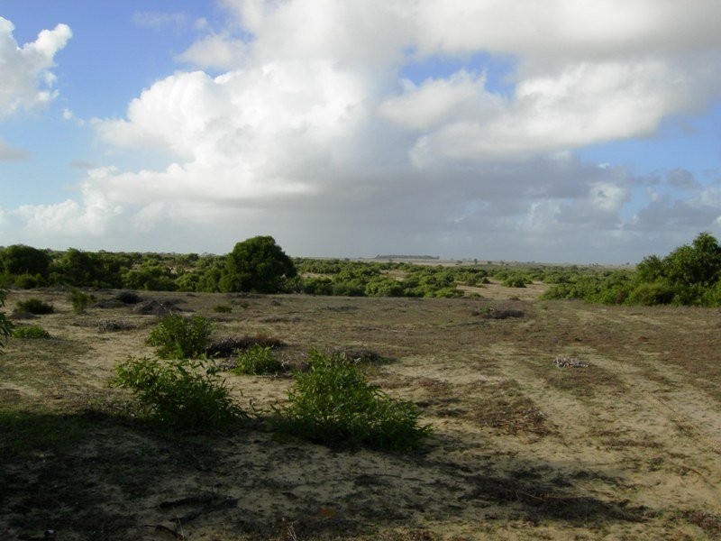 33 Sappers, Nilgen WA 6044