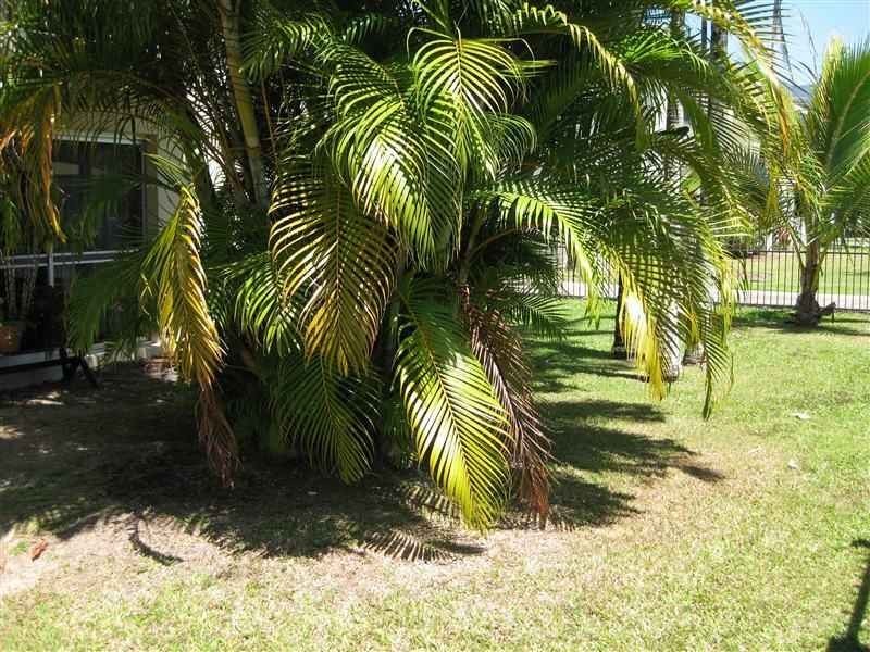 1/41 Mazlin Street, Edge Hill QLD 4870