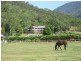 165 Maitland Road, Gordonvale QLD 4865
