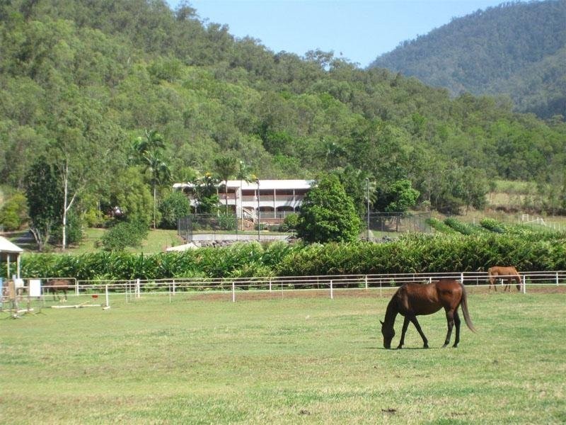 165 Maitland Road, Gordonvale QLD 4865