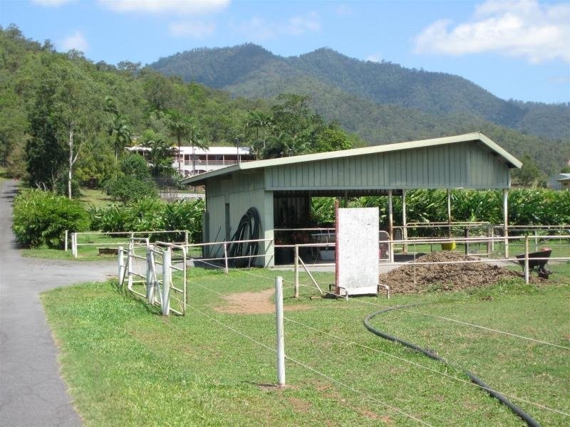 165 Maitland Road, Gordonvale QLD 4865