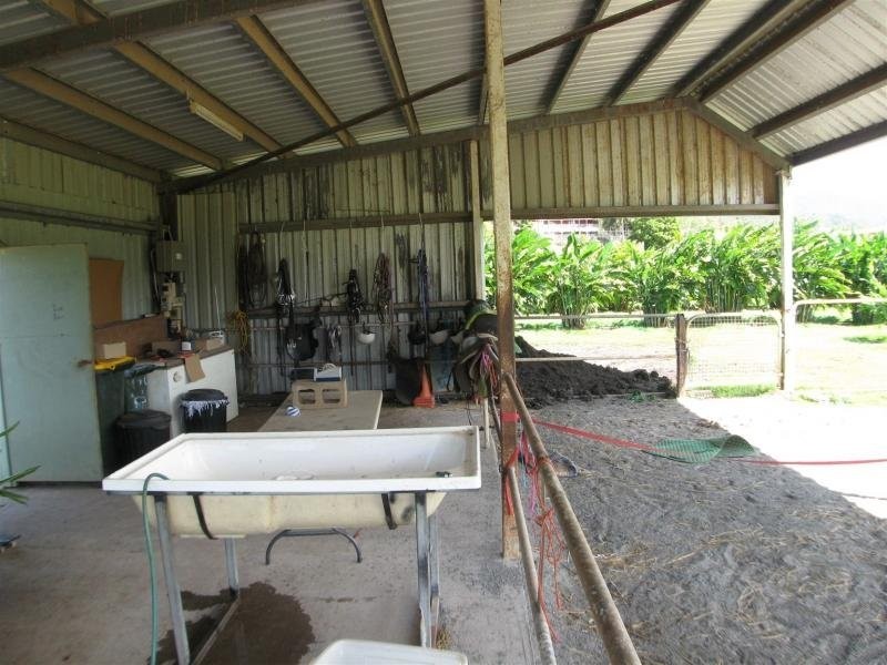 165 Maitland Road, Gordonvale QLD 4865