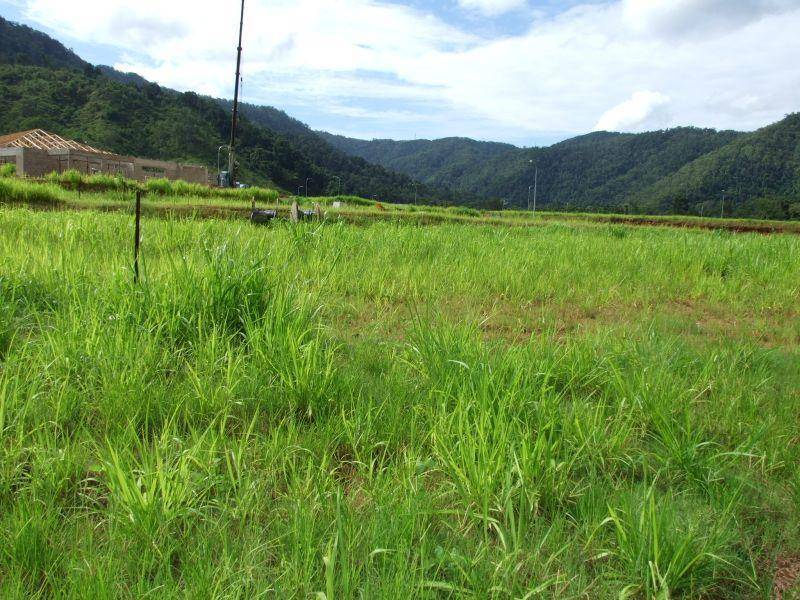 13 Huntley Crescent, Redlynch QLD 4870