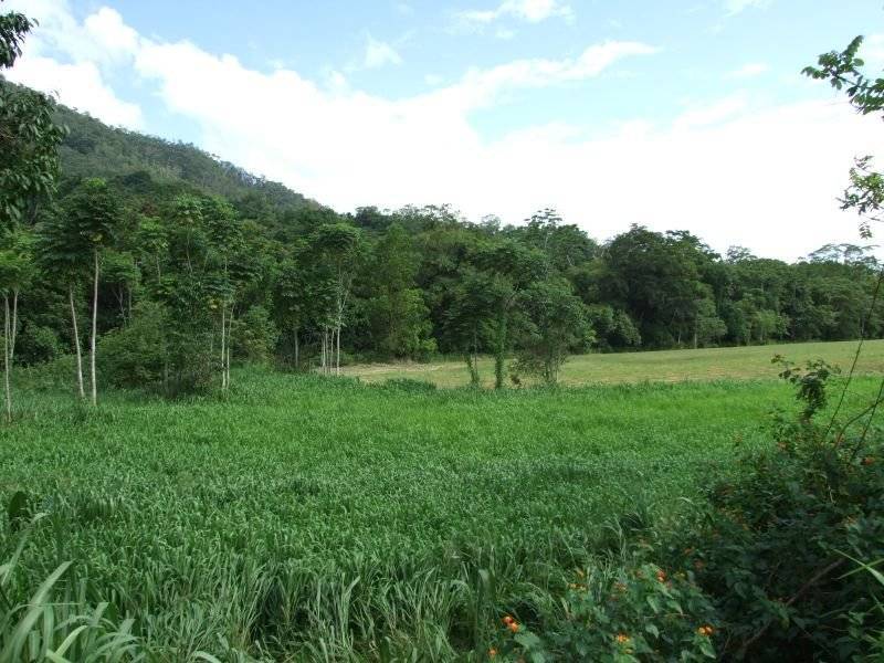 13 Huntley Crescent, Redlynch QLD 4870