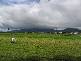 Lot 2 Christian Street, Babinda QLD 4861