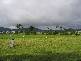 Lot 2 Christian Street, Babinda QLD 4861