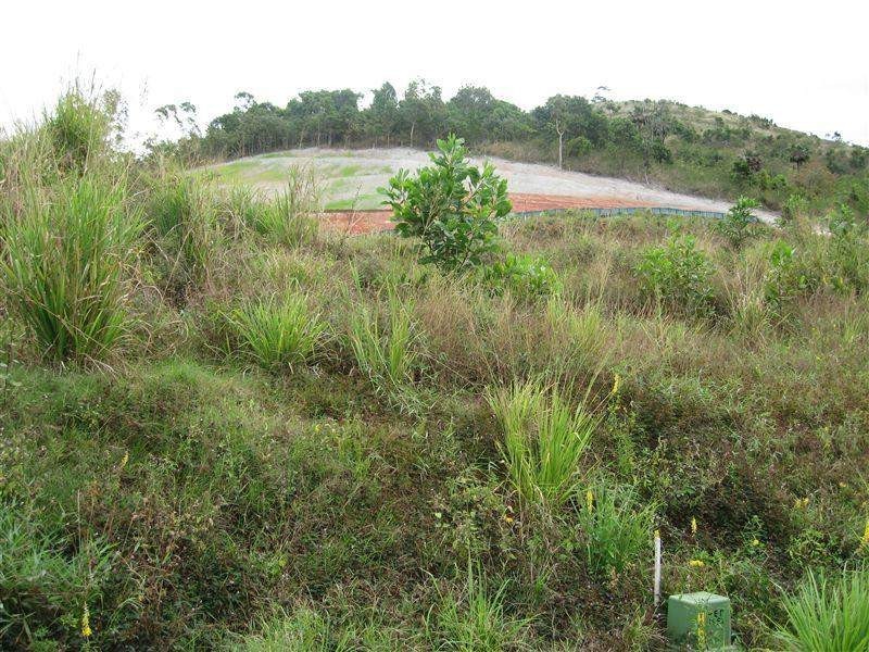 55 Sunbird Drive, Woree QLD 4868