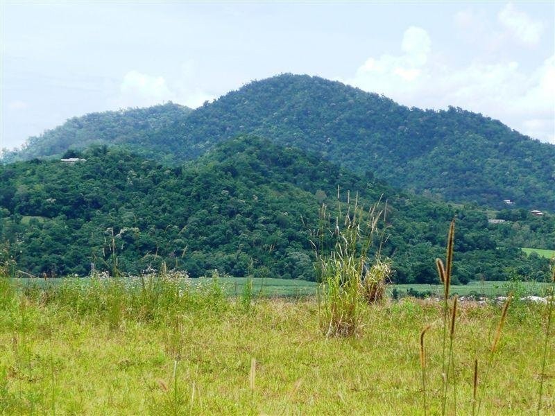 50 Flindersia Street, Redlynch QLD 4870