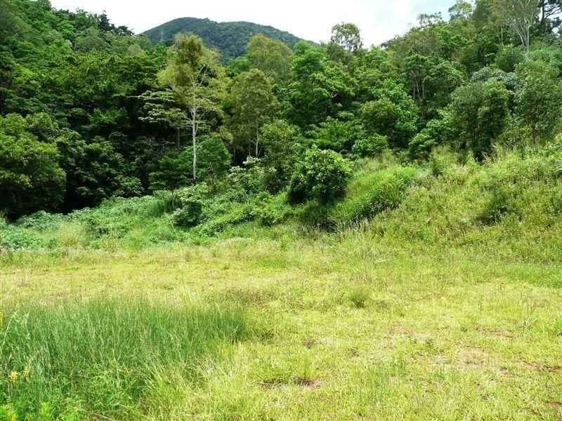 50 Flindersia Street, Redlynch QLD 4870