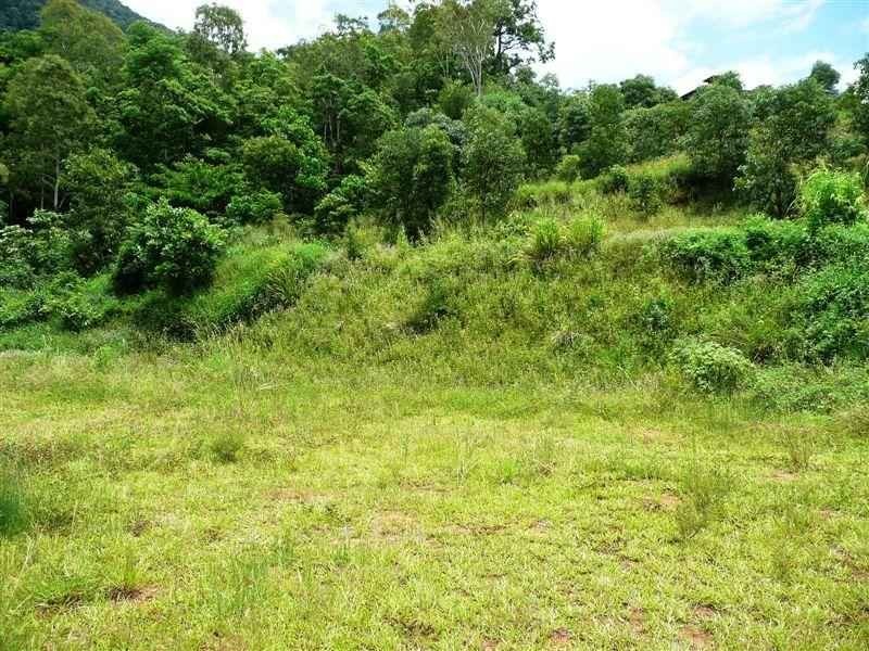 50 Flindersia Street, Redlynch QLD 4870