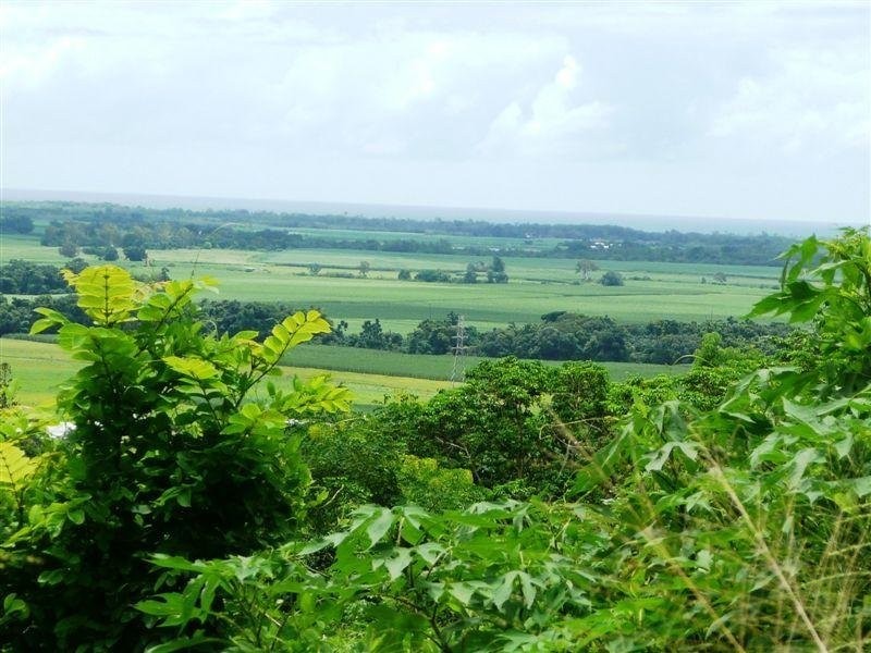 14 Barringtonia Close, Redlynch QLD 4870