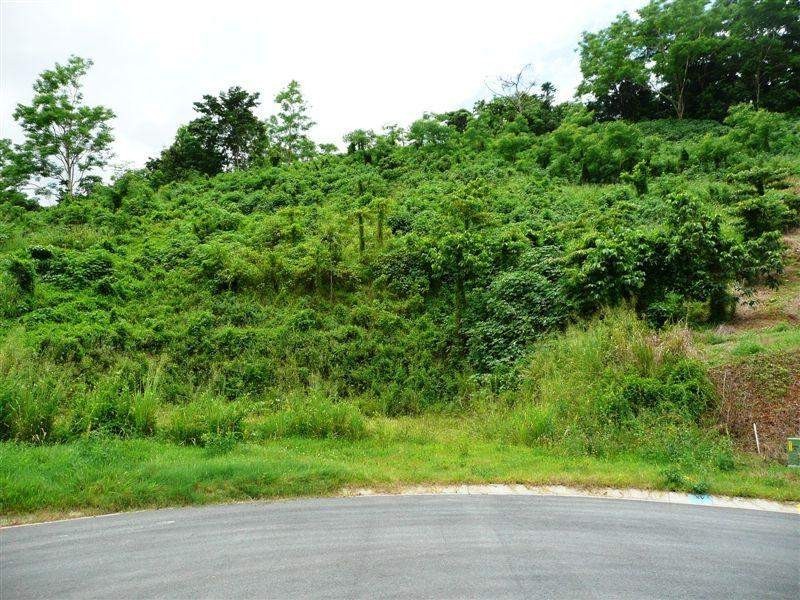 14 Barringtonia Close, Redlynch QLD 4870