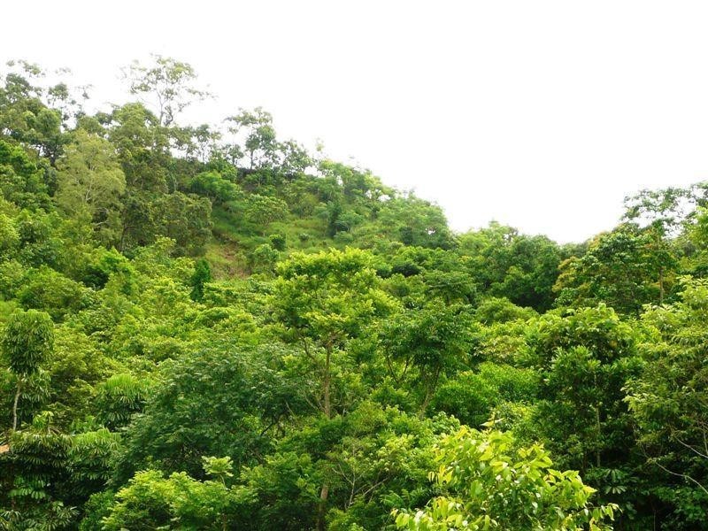 13 Bel Air Drive, Whitfield QLD 4870