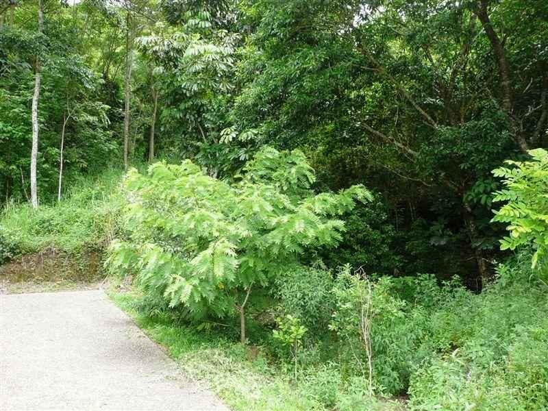 13 Bel Air Drive, Whitfield QLD 4870