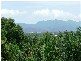 14 Bel Air Drive, Whitfield QLD 4870
