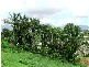 14 Bel Air Drive, Whitfield QLD 4870