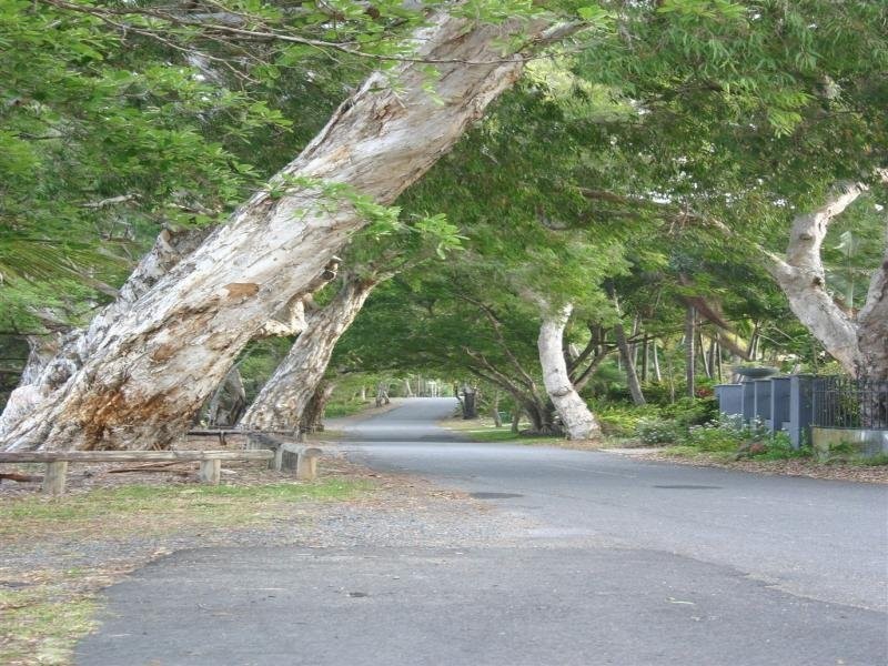 15 Endeavour Road, Clifton Beach QLD 4879