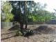 94 Hollywood Boulevard, White Rock QLD 4868