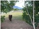 4 Pyramid Close, Gordonvale QLD 4865