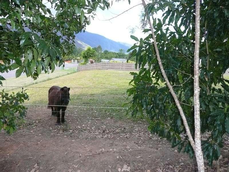 4 Pyramid Close, Gordonvale QLD 4865