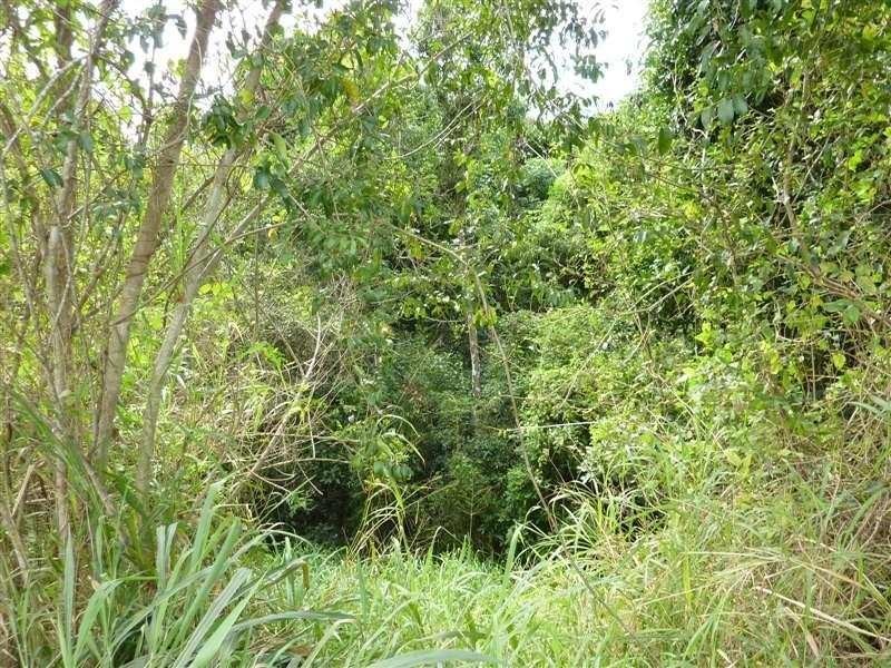 Lot 15 Golden Street, Goldsborough QLD 4865