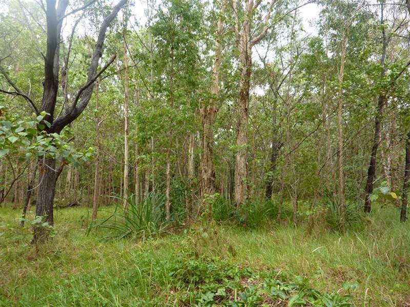 Lot 21 Kamma Pine Creek Road, East Trinity QLD 4871