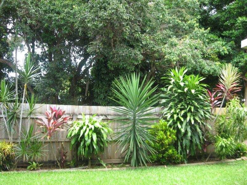 23 Dodd Court, Mooroobool QLD 4870