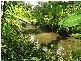 Lot 1 Bruce Highway, Miriwinni QLD 4871