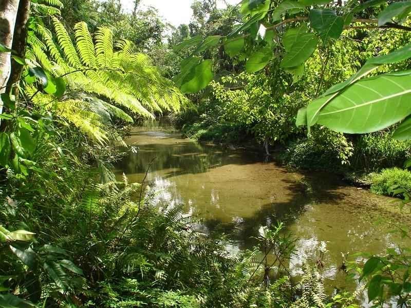 Lot 1 Bruce Highway, Miriwinni QLD 4871