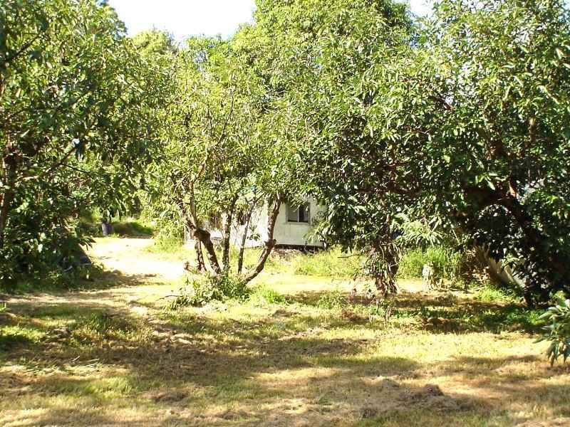 57 Mckees Road, Palmwoods QLD 4555