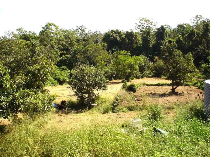 57 Mckees Road, Palmwoods QLD 4555