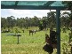 434 Broomshead Road, Gulmarrad NSW 2463