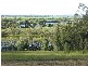 Lot 13, 12 Island View Road, Woombah NSW 2469