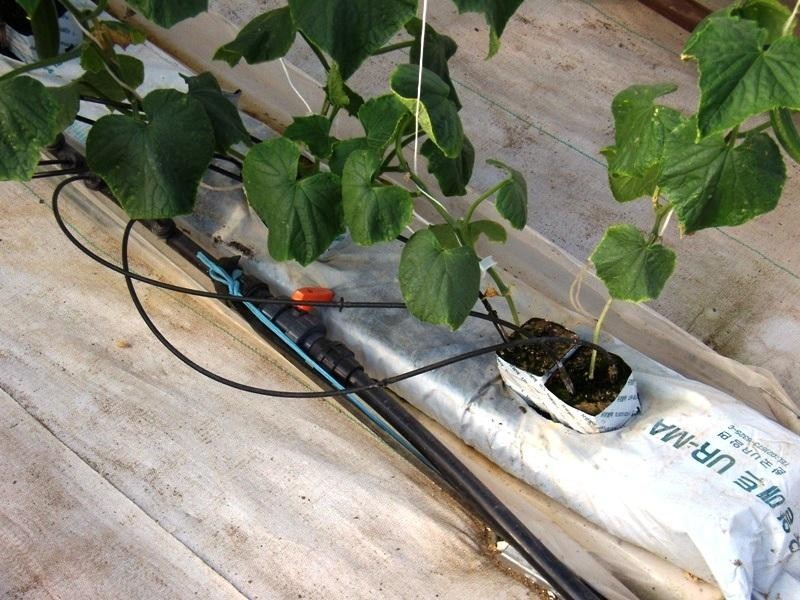 115 Tylers Road, Bargo NSW 2574