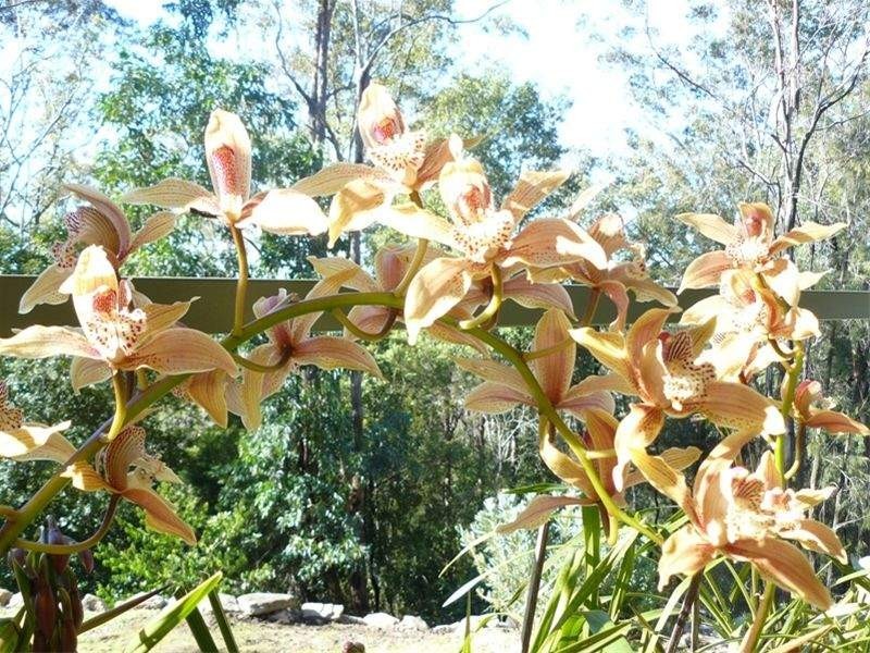 146 News Road, Werombi NSW 2570