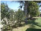 79 Arnica Crescent, Bald Hills QLD 4036