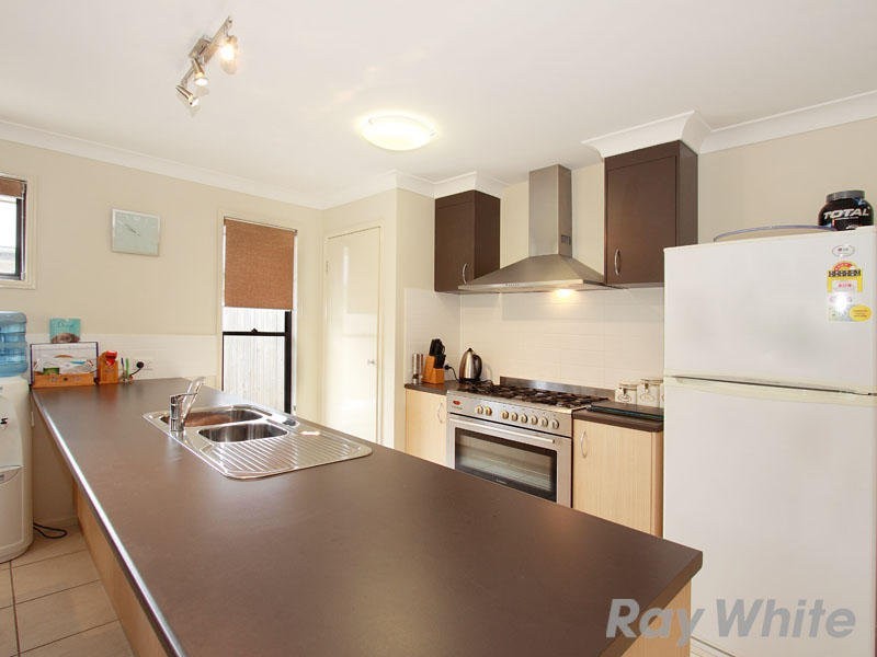 41 Highbridge Circuit, Carseldine QLD 4034
