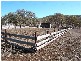 869 Saddletop Road, Upper Pilton QLD 4361