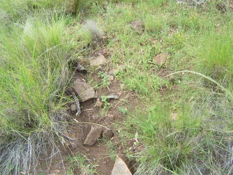 Lot 55 Kahler Road, Yarranlea QLD 4356
