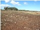 Lot 6 Holly Avenue, Highfields QLD 4352
