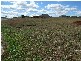 Lot 6 Holly Avenue, Highfields QLD 4352