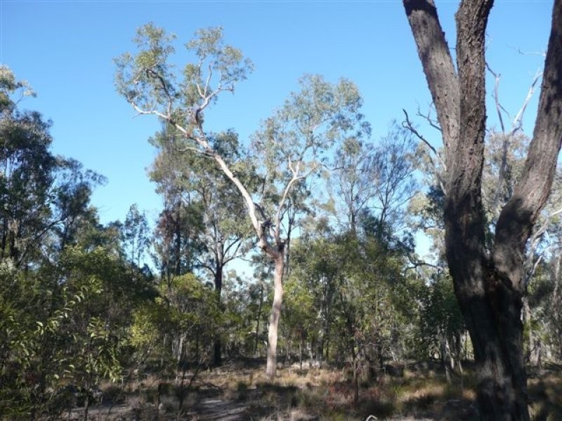 29 Vickery Road, Tara QLD 4421