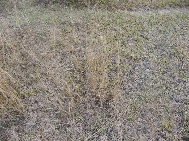 Lot 386 New England Highway, Cooyar QLD 4402