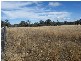 Lot 15 Paton Road, Meringandan QLD 4352