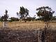 Moojebing Road, Katanning WA 6317