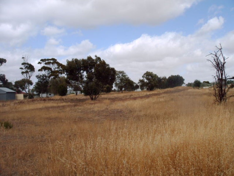 25 Dawson Street, Dumbleyung WA 6350