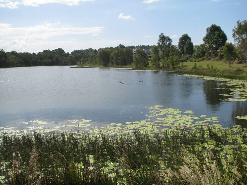 10 Topaz Drive, Mango Hill QLD 4509