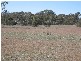 8322 Kings Highway, Braidwood NSW 2622