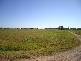 Alberton QLD 4207